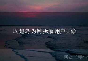 以 趣岛 为例 拆解 用户画像