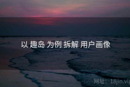 以 趣岛 为例 拆解 用户画像