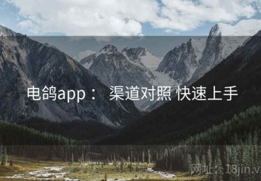 电鸽app ： 渠道对照 快速上手