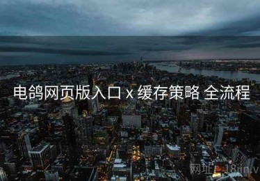 电鸽网页版入口 x 缓存策略 全流程