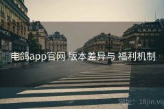 电鸽app官网 版本差异与 福利机制