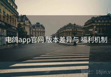 电鸽app官网 版本差异与 福利机制