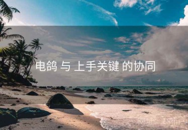 电鸽 与 上手关键 的协同