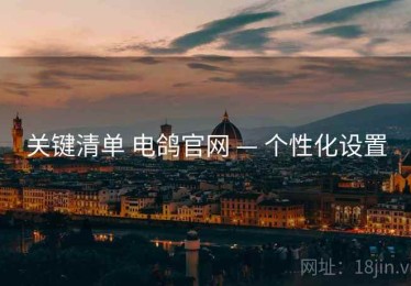 关键清单 电鸽官网 — 个性化设置