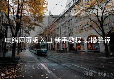 电鸽网页版入口 新手教程 实操路径