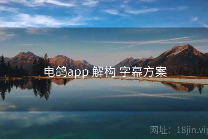 电鸽app 解构 字幕方案