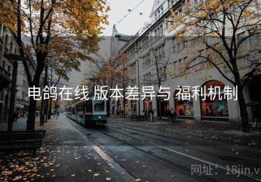 电鸽在线 版本差异与 福利机制