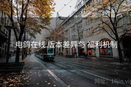 电鸽在线 版本差异与 福利机制