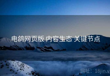 电鸽网页版 内容生态 关键节点