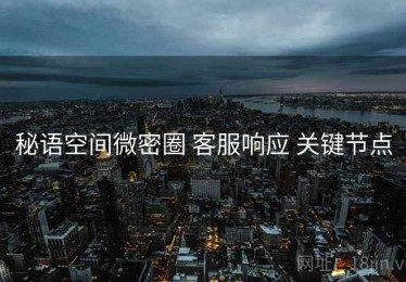 秘语空间微密圈 客服响应 关键节点