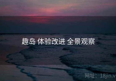 趣岛 体验改进 全景观察