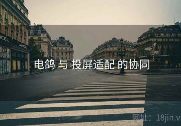 电鸽 与 投屏适配 的协同
