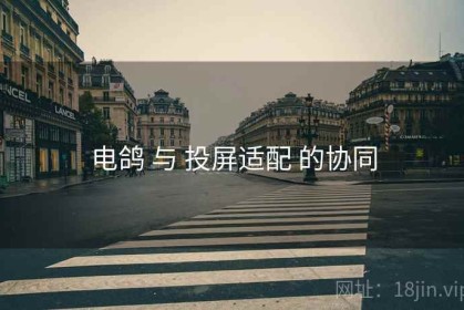 电鸽 与 投屏适配 的协同