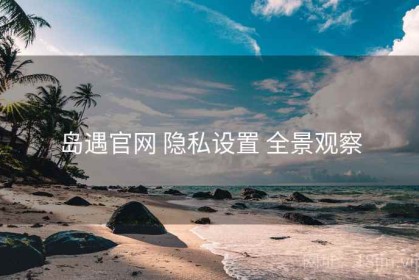 岛遇官网 隐私设置 全景观察