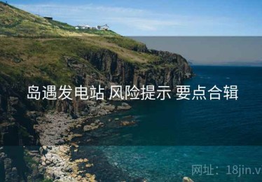 岛遇发电站 风险提示 要点合辑