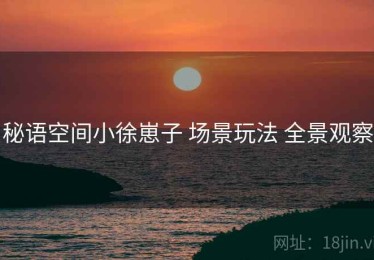 秘语空间小徐崽子 场景玩法 全景观察