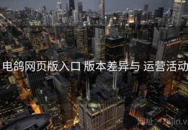 电鸽网页版入口 版本差异与 运营活动