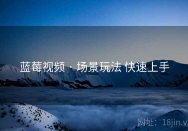 蓝莓视频 · 场景玩法 快速上手
