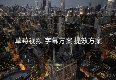 草莓视频 字幕方案 提效方案