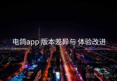 电鸽app 版本差异与 体验改进