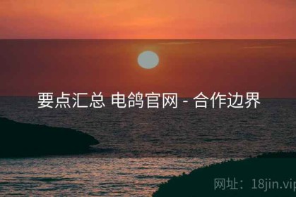 要点汇总 电鸽官网 - 合作边界
