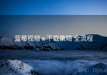 蓝莓视频 x 下载策略 全流程