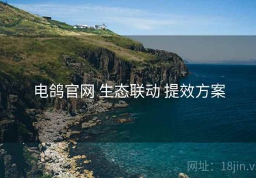 电鸽官网 生态联动 提效方案