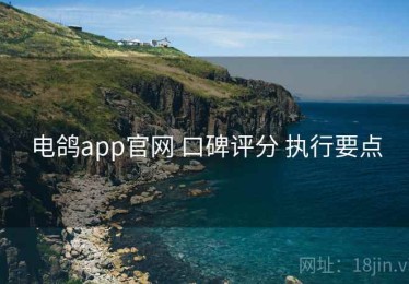 电鸽app官网 口碑评分 执行要点