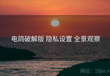 电鸽破解版 隐私设置 全景观察