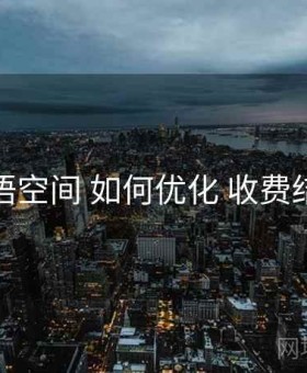 秘语空间 如何优化 收费结构