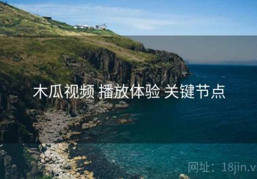 木瓜视频 播放体验 关键节点