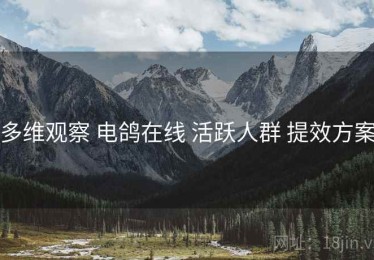多维观察 电鸽在线 活跃人群 提效方案