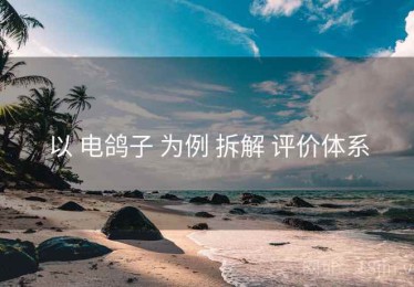 以 电鸽子 为例 拆解 评价体系