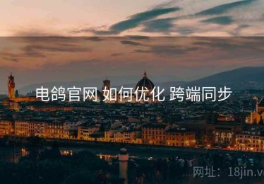 电鸽官网 如何优化 跨端同步