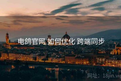 电鸽官网 如何优化 跨端同步