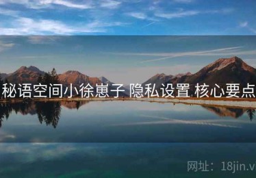 秘语空间小徐崽子 隐私设置 核心要点