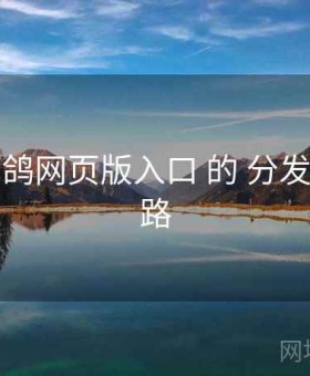 围绕 电鸽网页版入口 的 分发路径 思路