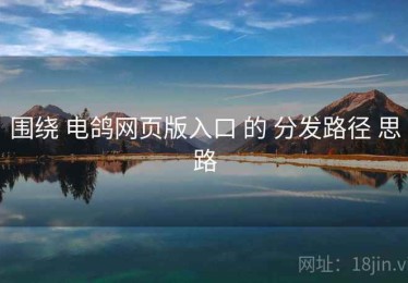 围绕 电鸽网页版入口 的 分发路径 思路