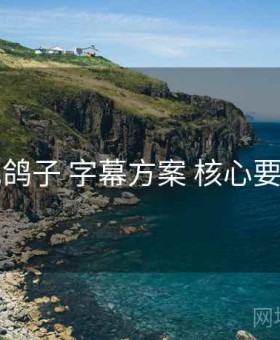 电鸽子 字幕方案 核心要点
