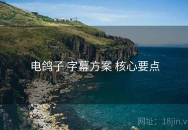 电鸽子 字幕方案 核心要点