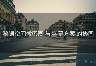秘语空间微密圈 与 字幕方案 的协同