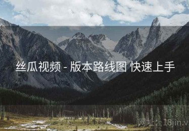 丝瓜视频 - 版本路线图 快速上手