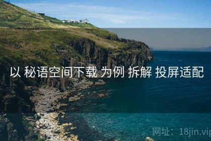 以 秘语空间下载 为例 拆解 投屏适配