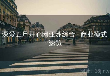 深爱五月开心网亚洲综合 - 商业模式 速览