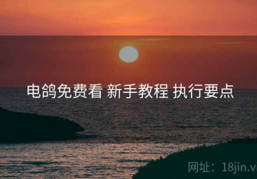 电鸽免费看 新手教程 执行要点