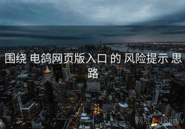 围绕 电鸽网页版入口 的 风险提示 思路