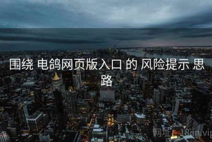 围绕 电鸽网页版入口 的 风险提示 思路