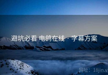 避坑必看 电鸽在线 · 字幕方案