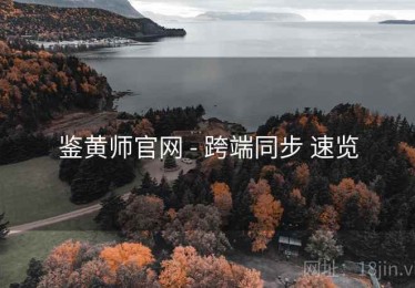 鉴黄师官网 - 跨端同步 速览