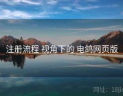 注册流程 视角下的 电鸽网页版